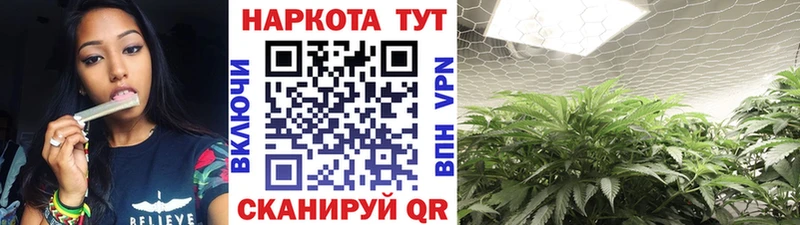 Где продают наркотики Курчалой ГАШИШ  АМФ  Alpha PVP  Галлюциногенные грибы  Кетамин  Меф мяу мяу  МАРИХУАНА 