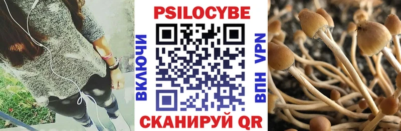darknet какой сайт  Курчалой  Галлюциногенные грибы ЛСД  дарнет шоп 