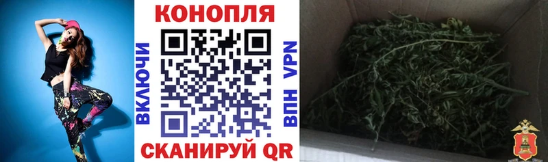 МАРИХУАНА гибрид  darknet как зайти  Курчалой 